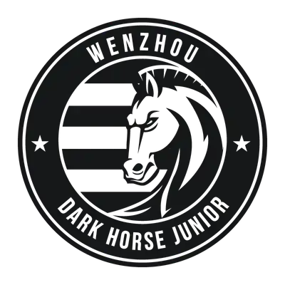 Wenzhou Professional Football Club