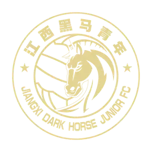 Jiangxi Dark Horse Junior Football Club