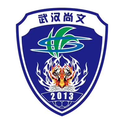 Wuhan Three Towns Football Club