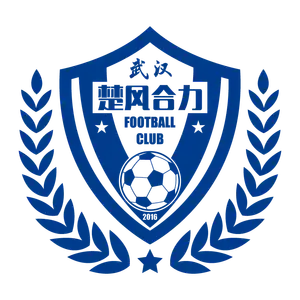 Hubei Istar Football Club