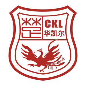 Xinjiang Tianshan Leopard Football Club