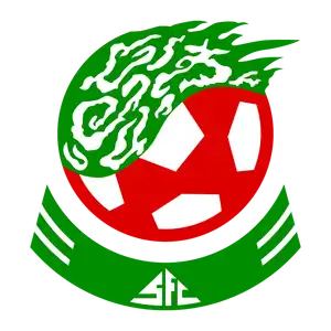 Shenzhen Football Club