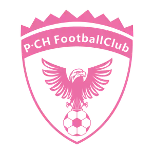 Shenzhen Pengcheng Football Club