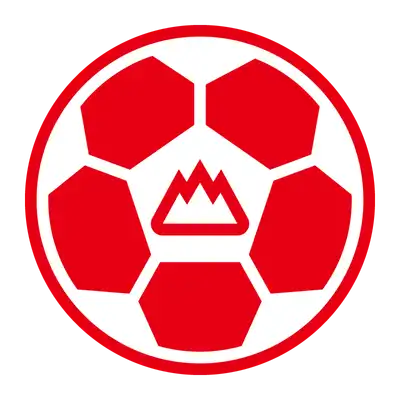 Shandong Taishan Football Club