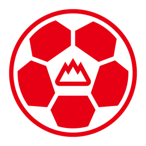 Shandong Taishan Football Club