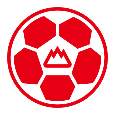 Shandong Taishan Football Club