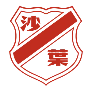 Nanjing Shaye Football Club