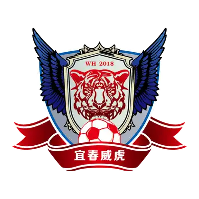 Jiangxi Dark Horse Junior Football Club