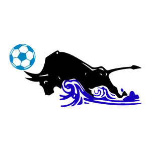 Qingdao Hainiu Football Club