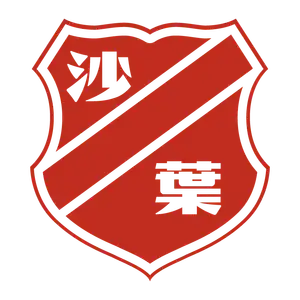 Nanjing Shaye Football Club