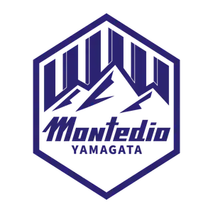 Montedio Yamagata Football Club