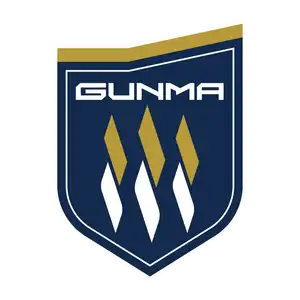 Thespa Gunma Football Club